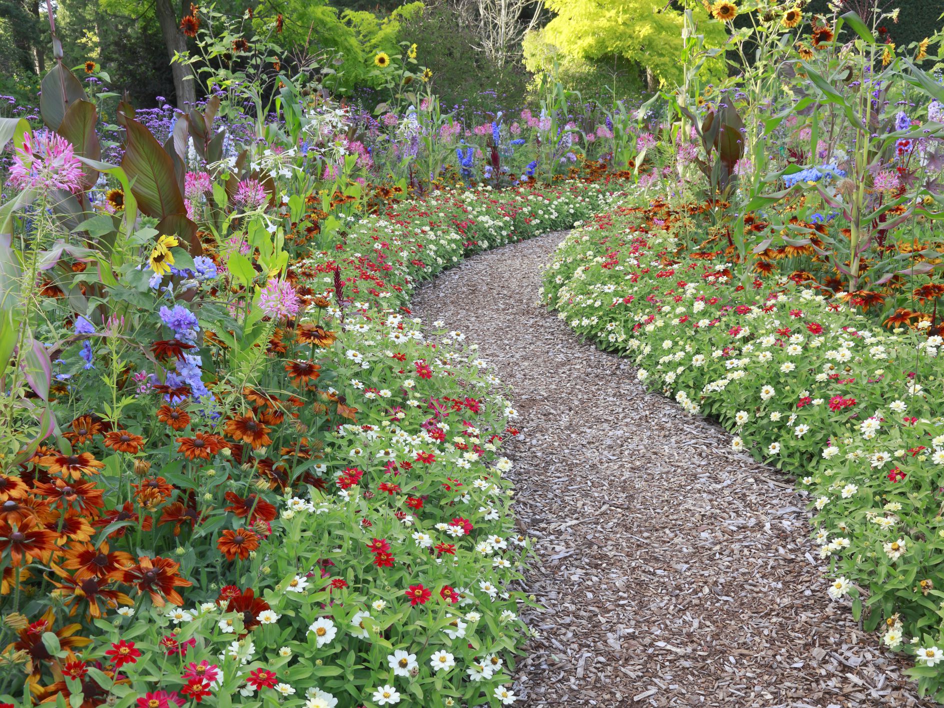 Consider Flower Garden Paths