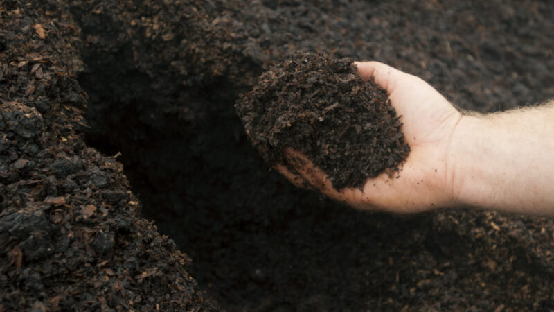 Four Easy Do-It-Yourself Soil Tests