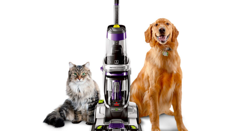 Bissell Proheat 2x Revolution Pet Pro Carpet Cleaner Review