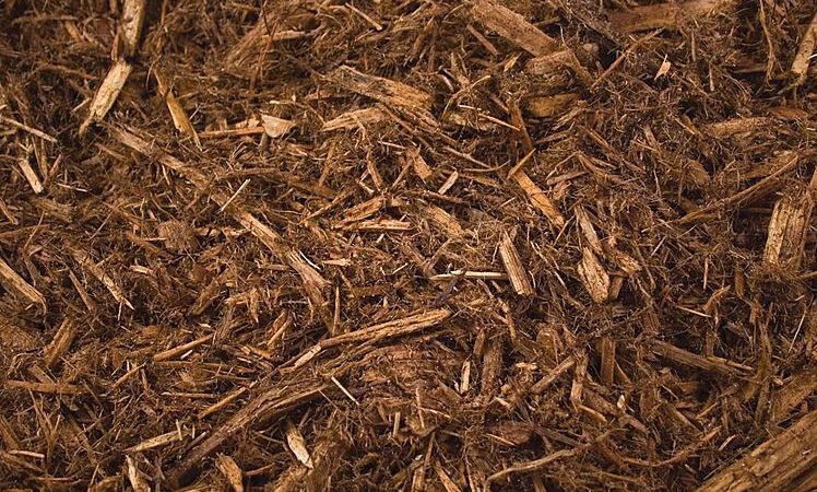 Is Cypress Mulch Good or Bad?