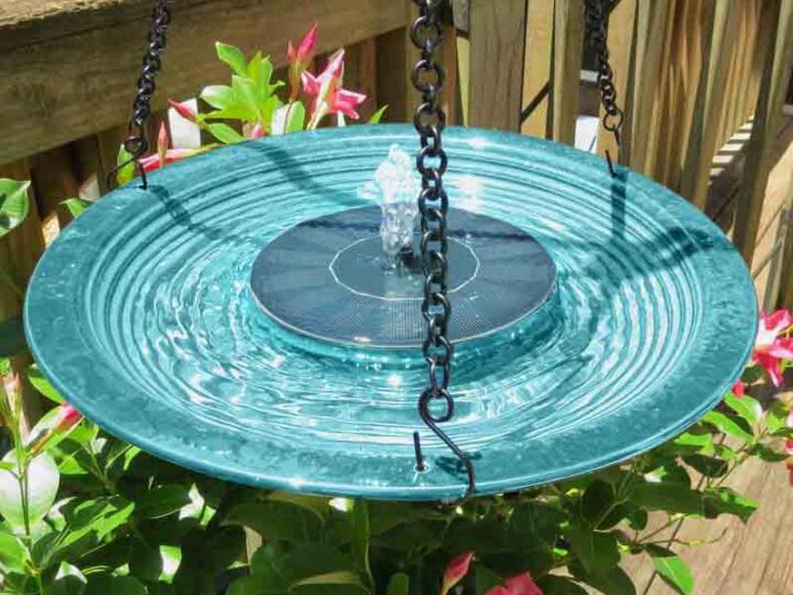 Bird Bath Fountains and Why You Need One