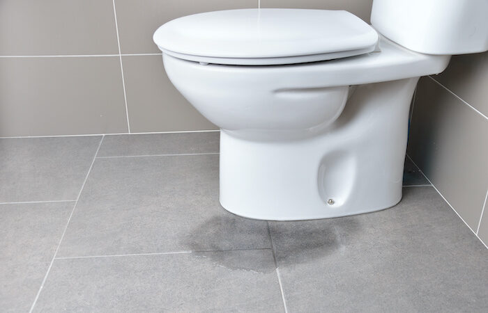 How to Fix a Toilet Leaking Around the Base